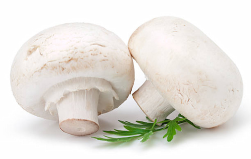 قارچ تازه با بافت سفت و طعم طبیعی